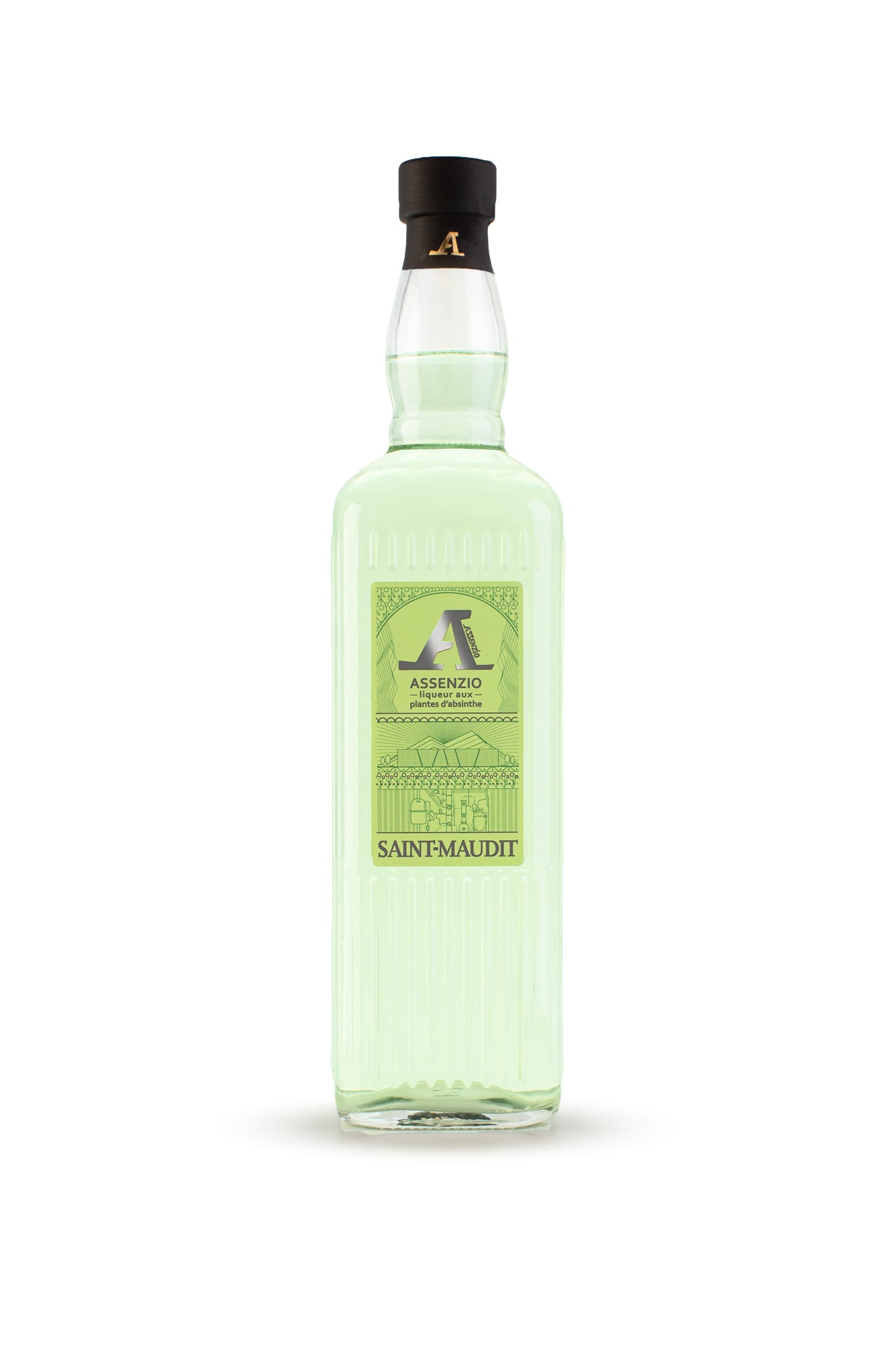 Assenzio alcool liquore bottiglia con verde spruzzo 12963468 Arte